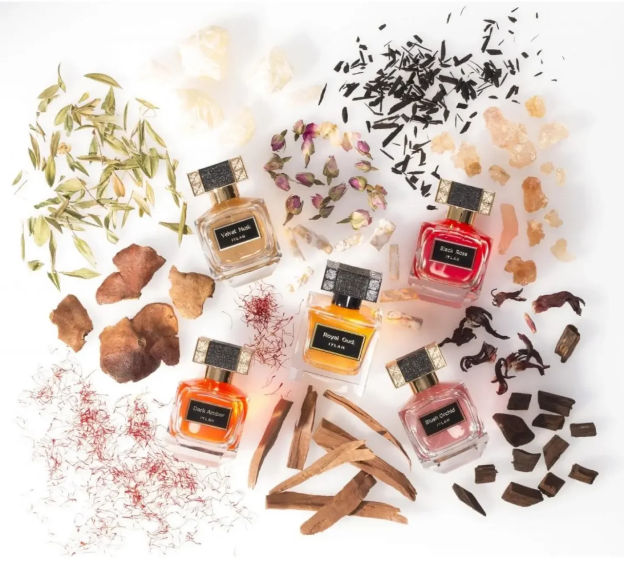 A creative flat lay photograph on a white background featuring five IYLAH perfume bottles surrounded by their raw ingredients. The arrangement includes saffron threads, dried rosebuds, sandalwood chips, amber resin, and dark oud wood, illustrating the scents of Royal Oud, Black Rose, and others.
